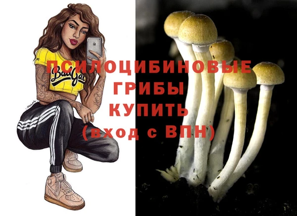 ECSTASY Дмитров