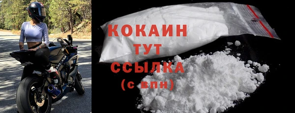 PSILOCYBIN Елизово