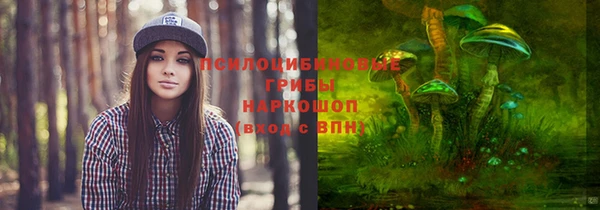 бутират Дмитровск