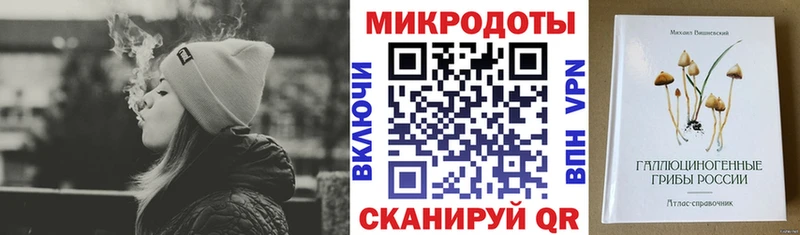 где продают   Каргат  Псилоцибиновые грибы мухоморы 