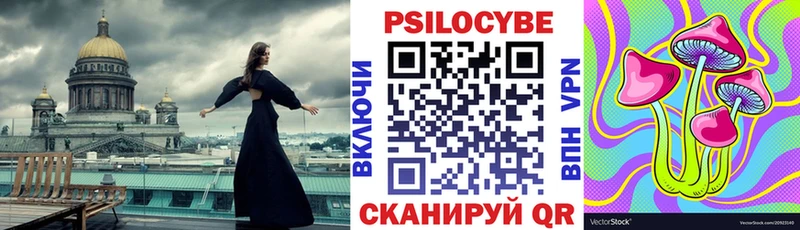 Галлюциногенные грибы Psilocybe Каргат